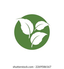Logos of green leaf ecology nature element vector icon