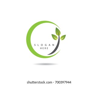 Logos of green leaf ecology nature element vector icon