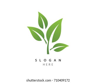 Logos of green leaf ecology nature element vector icon