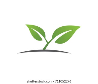 Logos of green leaf ecology nature element vector icon