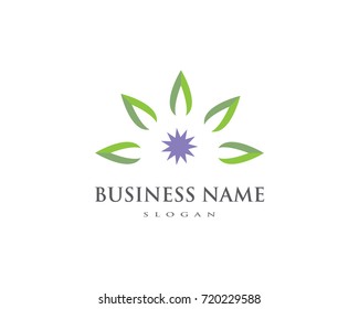 Logos of green leaf ecology nature element vector icon

