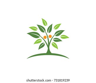 Logotipos de ecología de hoja verde elemento de naturaleza icono vector