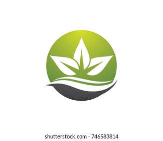 Logos of green leaf ecology nature element vector icon