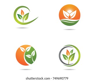 Logos of green leaf ecology nature element vector icon
