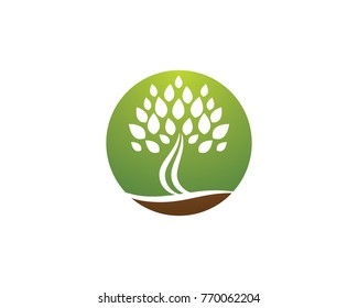 Logos of green leaf ecology nature element vector icon