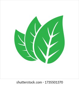 Logotipos de elementos de naturaleza de hoja verde icono vectorial