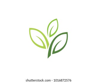 Logos of green Tree leaf ecology nature element vector
