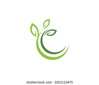 Logos of green Tree leaf ecology nature element vector