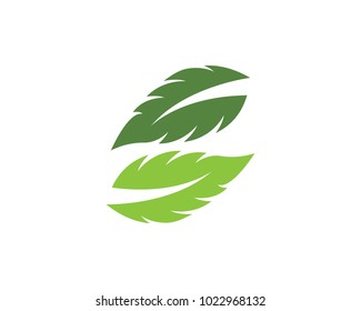 Logos of green Tree leaf ecology nature element vector
