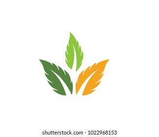 Logos of green Tree leaf ecology nature element vector