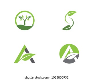 Logos of green Tree leaf ecology nature element vector