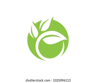 Logos of green Tree leaf ecology nature element vector