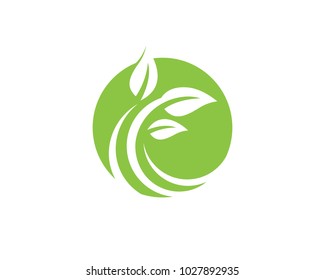 Logos of green Tree leaf ecology nature element vector
