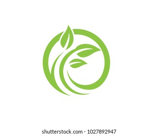 Logos of green Tree leaf ecology nature element vector