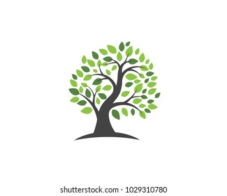 Logos of green Tree leaf ecology nature element vector