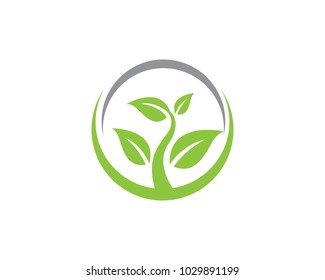 Logos of green Tree leaf ecology nature element vector