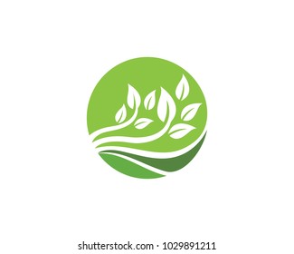 Logos of green Tree leaf ecology nature element vector