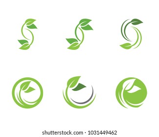 Logos of green Tree leaf ecology nature element vector
