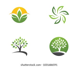 Logos of green Tree leaf ecology nature element vector