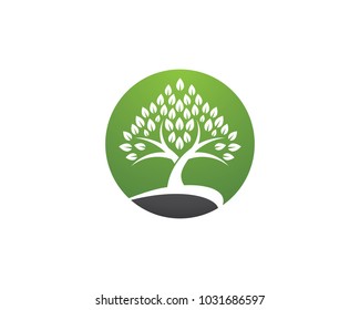 Logos of green Tree leaf ecology nature element vector