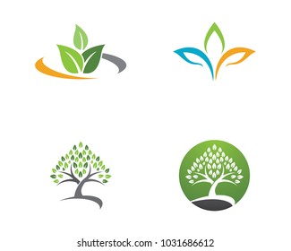 Logos of green Tree leaf ecology nature element vector