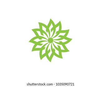 Logos of green Tree leaf ecology nature element vector