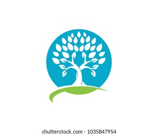 Logos of green Tree leaf ecology nature element vector