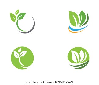 Logos of green Tree leaf ecology nature element vector