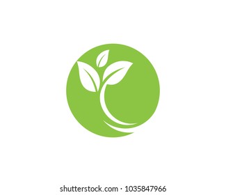 Logos of green Tree leaf ecology nature element vector