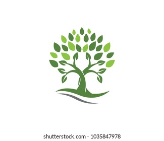 Logos of green Tree leaf ecology nature element vector