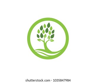 Logos of green Tree leaf ecology nature element vector