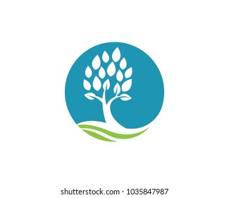 Logos of green Tree leaf ecology nature element vector