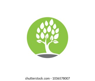 Logos of green Tree leaf ecology nature element vector