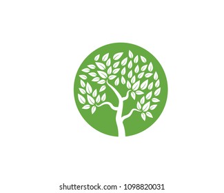 Logos of green Tree leaf ecology nature element vector