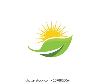 Logos of green Tree leaf ecology nature element vector