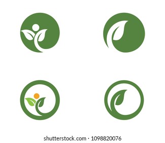Logos of green Tree leaf ecology nature element vector