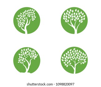 Logos of green Tree leaf ecology nature element vector