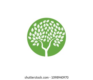 Logos of green Tree leaf ecology nature element vector