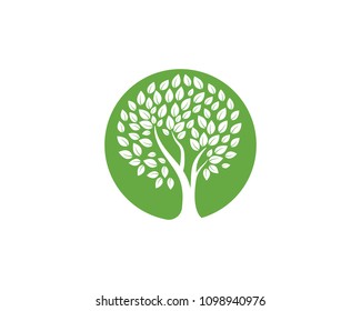 Logos of green Tree leaf ecology nature element vector