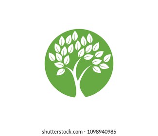Logos of green Tree leaf ecology nature element vector