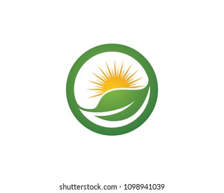 Logos of green Tree leaf ecology nature element vector