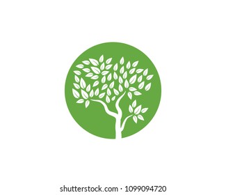 Logos of green Tree leaf ecology nature element vector