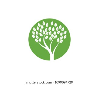 Logos of green Tree leaf ecology nature element vector