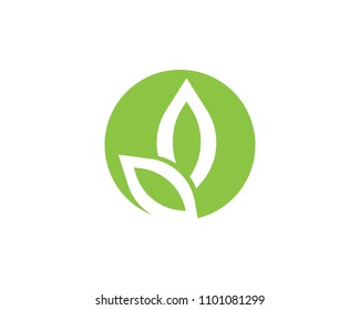 Logos of green Tree leaf ecology nature element vector