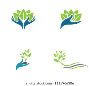 Logos of green Tree leaf ecology nature element vector