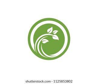 Logos of green Tree leaf ecology nature element vector