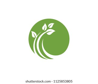 Logos of green Tree leaf ecology nature element vector