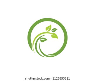 Logos of green Tree leaf ecology nature element vector