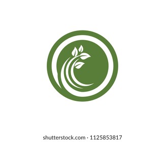Logos of green Tree leaf ecology nature element vector