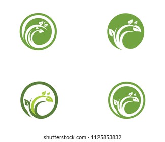 Logos of green Tree leaf ecology nature element vector